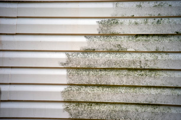 Best Attic Cleanout  in Quincy, MA