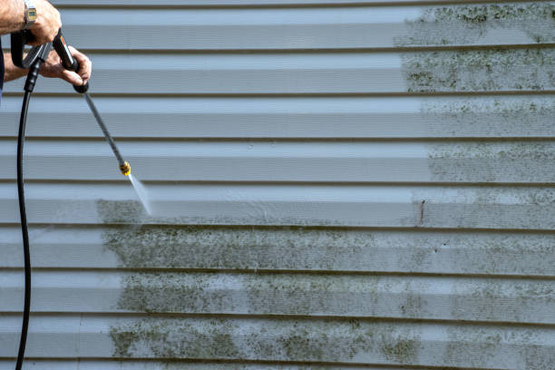  Quincy, MA Junk Removal Pros
