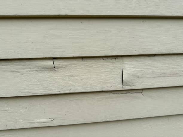 Best Construction Debris Removal  in Quincy, MA